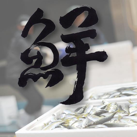 鮮魚課（仲買・仲卸）